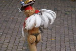 beim Klicken ffnet sich ein greres Bild